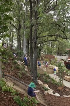 children are playing in the park with trees