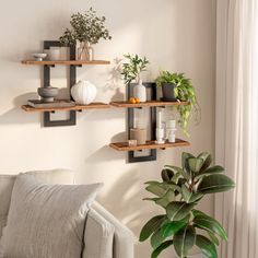 a living room filled with furniture and shelves next to a potted plant on top of a table