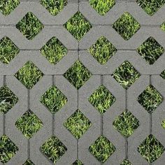 the grass is growing through the grate on the sidewalk