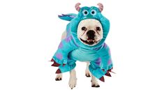 a dog dressed in a blue dragon costume