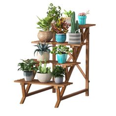 a wooden shelf filled with potted plants on top of each other