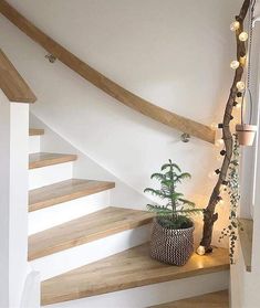 the stairs are decorated with christmas lights and decorative decorations on them, along with a potted pine tree