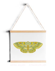 a yellow butterfly is hanging on the wall