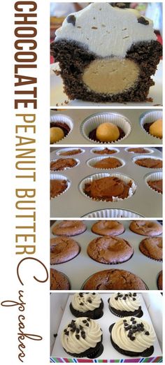 chocolate cupcakes with white frosting and brown icing