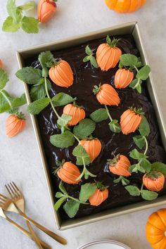 chocolate cake decorated with pumpkins and green leaves