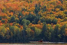 a person in a boat on a lake surrounded by trees with orange and yellow leaves