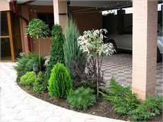 a car is parked in the driveway next to some bushes and trees with white flowers