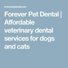 Forever Pet Dental | Affordable veterinary dental services for dogs and cats Dental Charting, Veterinary Services, Dental Cleaning, Veterinary Clinic, Dental Services, Animal Hospital, Teeth Cleaning, Dogs And Cats, Dental Health