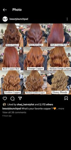 Copper Shades Hair, Different Types Of Ginger Hair, From Brown To Copper Hair, Different Copper Hair Colors, Shades Of Ginger Hair Chart, Ginger Hair On Brown Hair, Copper Hair Glaze, Different Ginger Hair Colors, Brown Hair To Ginger