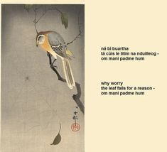 a bird sitting on top of a tree branch next to a poem written in chinese