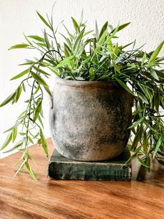 a potted plant sitting on top of a wooden table next to an old book