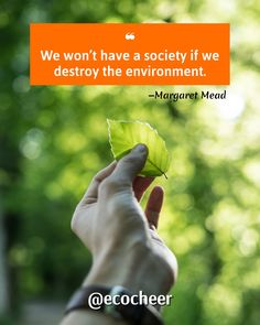 Quotes about environment Quotes About Environment, Quotes Environment, About Environment, Margaret Mead, The Environment