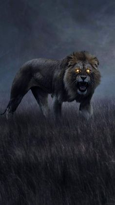 a lion with glowing eyes standing in tall grass