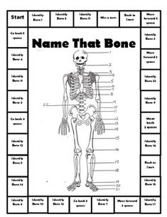 a diagram of the human body with names and labels for each skeleton, including name that bone