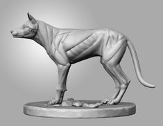 a statue of a dog with muscles on it's body and tail, standing on a pedestal