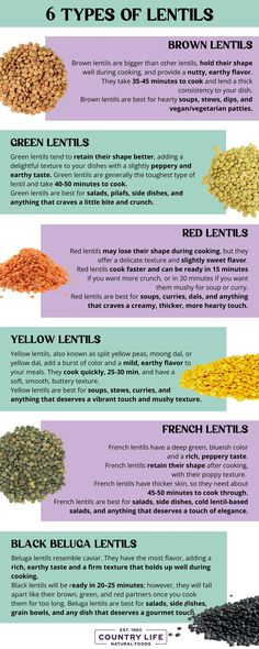 Exploring 6 Types Of Lentils - Their Differences And How To Use Them | Country Life Natural Foods Vegetarian Patty, French Green Lentils, Yellow Lentils, French Lentils, Healthy Pregnancy Tips, Brown Lentils, Veggie Dinner, Green Lentils