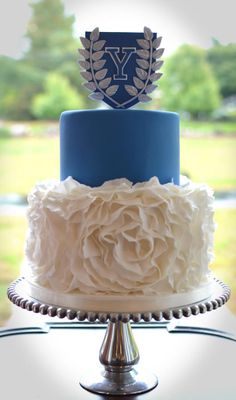 a blue and white cake sitting on top of a table