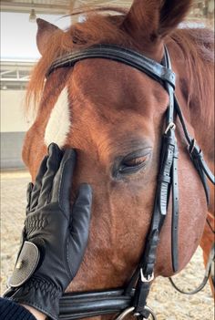 a person wearing gloves petting a brown horse