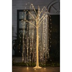 a lighted tree in front of a building with lights on it's trunk and branches