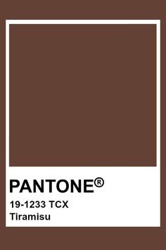 pantone's brown and white color scheme with the words, 11 - 123 tcx