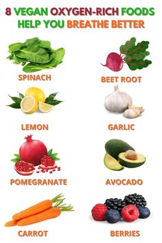 There is no life without oxygen. A diet that enriches your oxygen saturation remains the only choice for upping your body’s defense mechanism. Foods that are rich in iron and nitrates are the key to increasing oxygen supply throughout your body.  Here are 8 Vegan Oxygen Rich Foods that help you Breathe Better.
1. Spinach
2. Beet Root
3.Lemon
4. Garlic
5. Pomegranate
6. Avocado
7.Carrot
8. Berries Foods For Healthy Skin, Fruit Health Benefits, Food Health Benefits, Healthy Recipes For Diabetics, Healthy Lifestyle Food, Healthy Liver, Healing Food, Food Help, Best Fruits