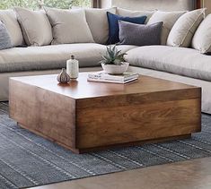 a living room with a couch, coffee table and potted plant