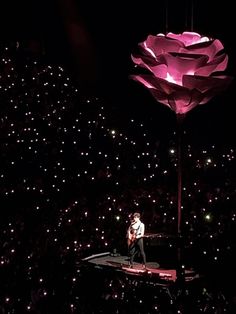 a man standing on top of a stage next to a giant flower