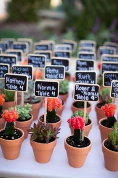 there are many potted plants on the table with chalkboard signs in each planter