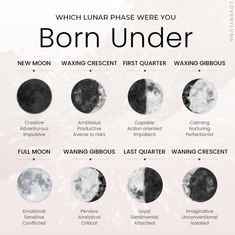 a poster with different phases of the moon for each zodiac sign, which is written in black and white