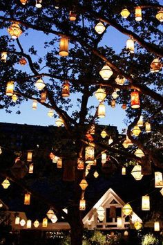 a tree filled with lots of lanterns hanging from it's branches in front of a house