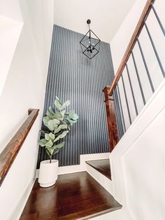 a potted plant sitting on top of a wooden shelf next to a stair case