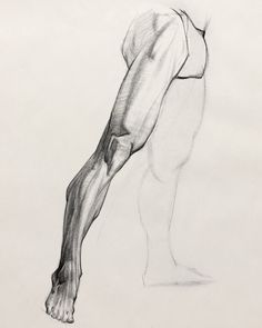 a black and white drawing of a man's leg with muscles drawn on paper