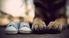 a dog's paws and shoes are shown in front of a black cat with its paw on the ground