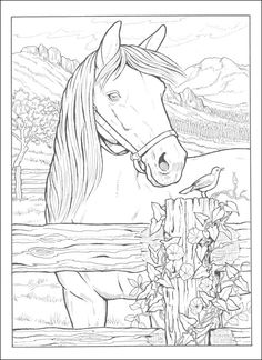 a horse standing next to a fence with trees and mountains in the background coloring page