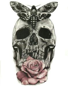 a drawing of a skull with a butterfly on it's head and a rose in its mouth