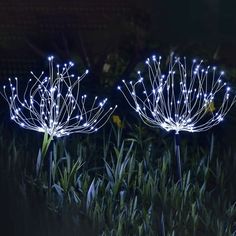 two lighted dandelions in the grass at night