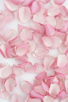 pink petals are scattered on a white surface