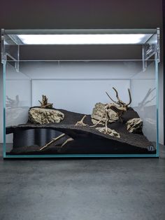 an aquarium filled with rocks and water inside of a glass case on top of a cement floor