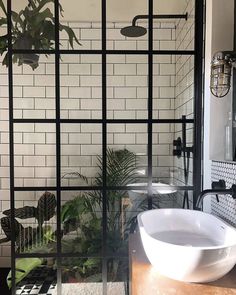 a bathroom with black and white tile walls, a plant in the corner and a sink