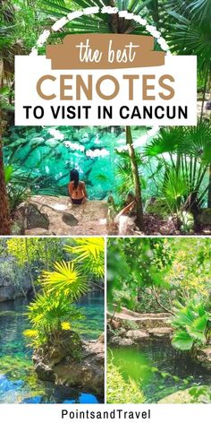 The Best Cenotes to Visit in Cancun Things To Do In Cancun Mexico, Cancun Itinerary, Cancun Things To Do, Cancun Excursions, Cancun Mexico Vacation, Mexico Travel Outfit, Cancun Travel Guide, Vacation Cancun, Things To Do In Cancun