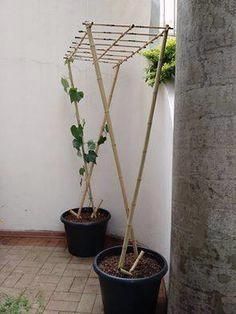 two potted plants are next to each other on the outside wall, one is made out of bamboo sticks