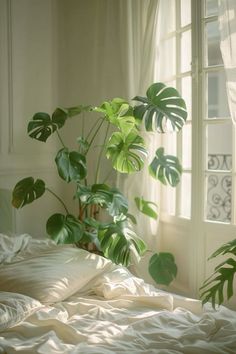 a bed with white sheets and green plants in the window sill next to it