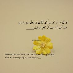 a yellow flower sitting on top of a piece of paper next to an arabic text