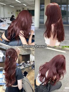 Dyes Hair Ideas, Nice Hair Colors, Hair Color Ideas For Tan Skin, Warm Purple Hair, Hair Color Ideas For Pale Skin, Brown Purple Hair, Korean Hair Color Ideas, Light Burgundy Hair, Brown Cinnamon Hair Color