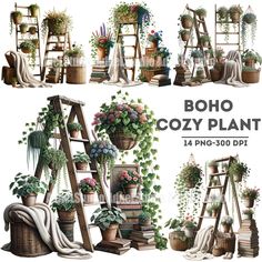 various potted plants and ladders in different stages of growth, with the words boho cozy plant above them