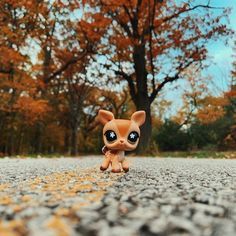 a little doll sitting on the side of a road in front of trees with orange leaves