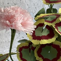 a pink and yellow flower with green leaves in front of a white brick wall behind it