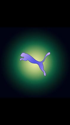 the cat is running on its hind legs in the dark night, and it appears to be jumping