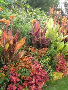 a garden filled with lots of colorful flowers