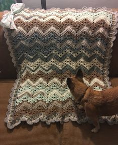 a small dog is standing next to a crocheted blanket on a brown couch